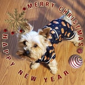 Meet your Posher, Beth